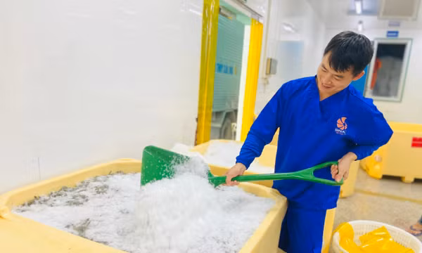 Thêm sức mạnh cho doanh nghiệp