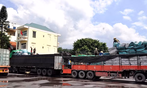 Bình Liêu thực hiện chủ đề công tác năm 2020: Đồng bộ nhiều giải pháp