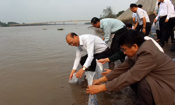 Các địa phương tổ chức thả giống thủy sản về môi trường tự nhiên