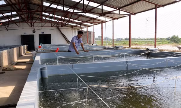 Để thuỷ sản trở thành ngành kinh tế mũi nhọn