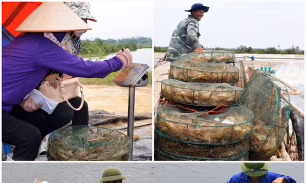 Hướng phát triển mới của ngư dân Quảng Ninh