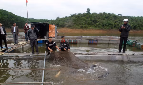 Chuyển đổi đất nông nghiệp kém hiệu quả sang nuôi trồng thủy sản: Hướng đi đúng