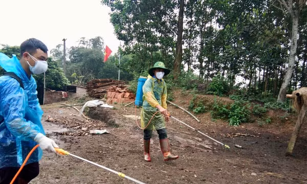 Ra quân phun thuốc phòng dịch tả lợn châu Phi cho 1.000 hộ chăn nuôi