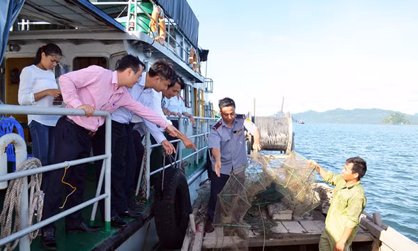 Vân Đồn ngăn chặn khai thác tận diệt thuỷ sản