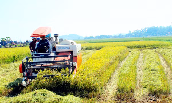 Từ nông thôn mới đến nông thôn kiểu mẫu