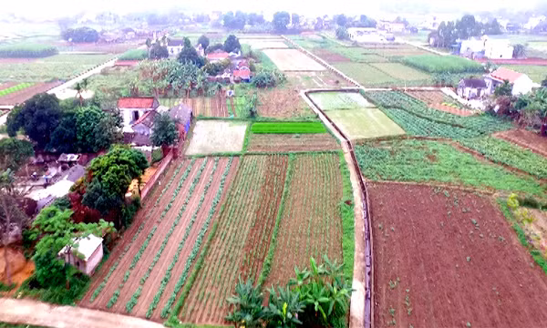 Nông thôn mới kiểu mẫu ở Hải Hà