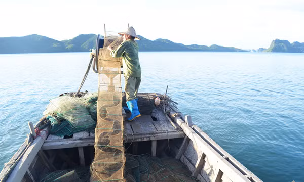 Kiểm tra hoạt động đánh bắt thủy hải sản trên biển: "Đụng" đâu, sai đó