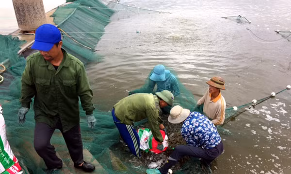 Ghi ở Vạn Ninh và Vĩnh Trung