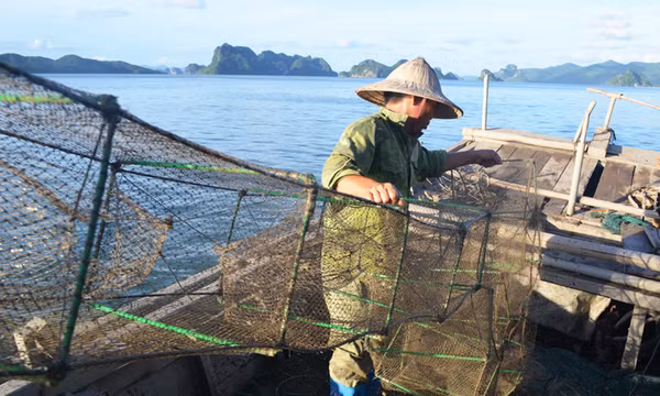 Quảng Ninh quyết "khai tử" lồng bát quái