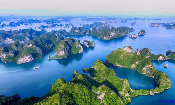 Không chỉ là cứu nghề biển!
