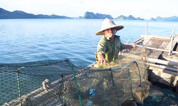 Kiên quyết xử lý vi phạm trong khai thác thủy sản