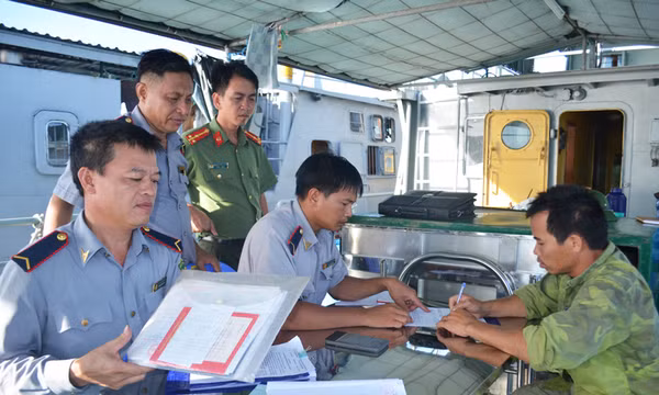 Kiểm tra đột xuất tàu, thuyền khai thác thủy sản trên vùng biển Cẩm Phả, Vân Đồn