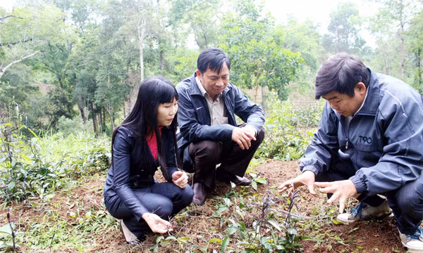 Ba Chẽ quyết tâm tạo khởi sắc mới