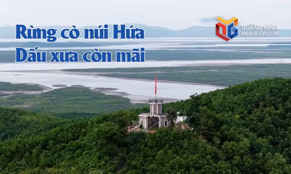 Rừng cò núi Hứa - Dấu xưa còn mãi
