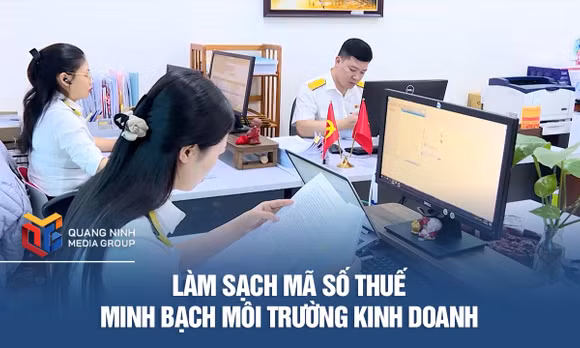 Làm sạch mã số thuế - Minh bạch môi trường kinh doanh