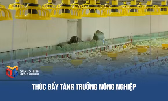 Thúc đẩy tăng trưởng nông nghiệp