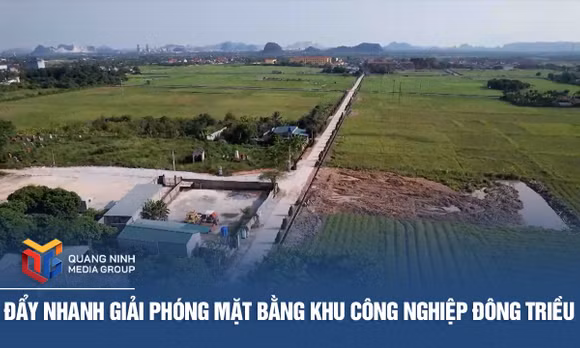 Đẩy nhanh giải phóng mặt bằng khu công nghiệp Đông Triều