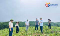 Nông dân Quảng Ninh đoạt giải tại Cuộc thi “Sáng tạo Kỹ thuật Nhà nông toàn quốc”