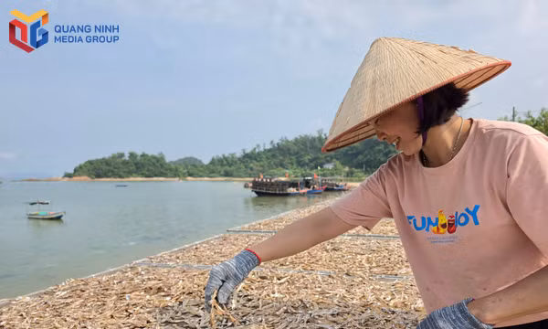 Cô Tô nhân rộng mô hình chế biến nông sản gắn với du lịch
