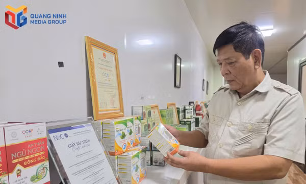 Cây thuốc nam đưa người công nhân quốc phòng làm giám đốc doanh nghiệp dược liệu