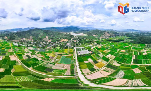 Thái Miếu nhà Trần - Di sản văn hóa thế giới
