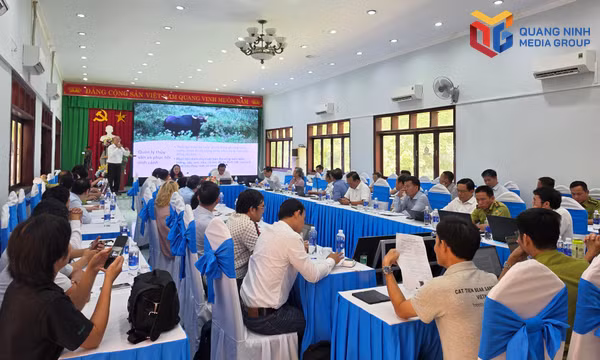 Quảng Ninh tham gia hội thảo về các vùng đất ngập nước tại thành phố Đồng Nai
