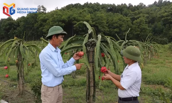 Người nông dân chinh phục vùng đất khó