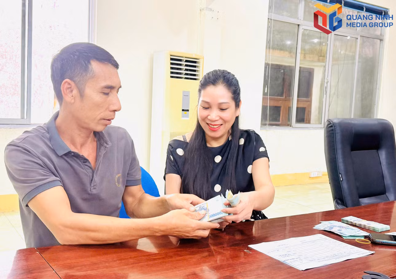 bqn_tr_gpmb-van-don.jpg