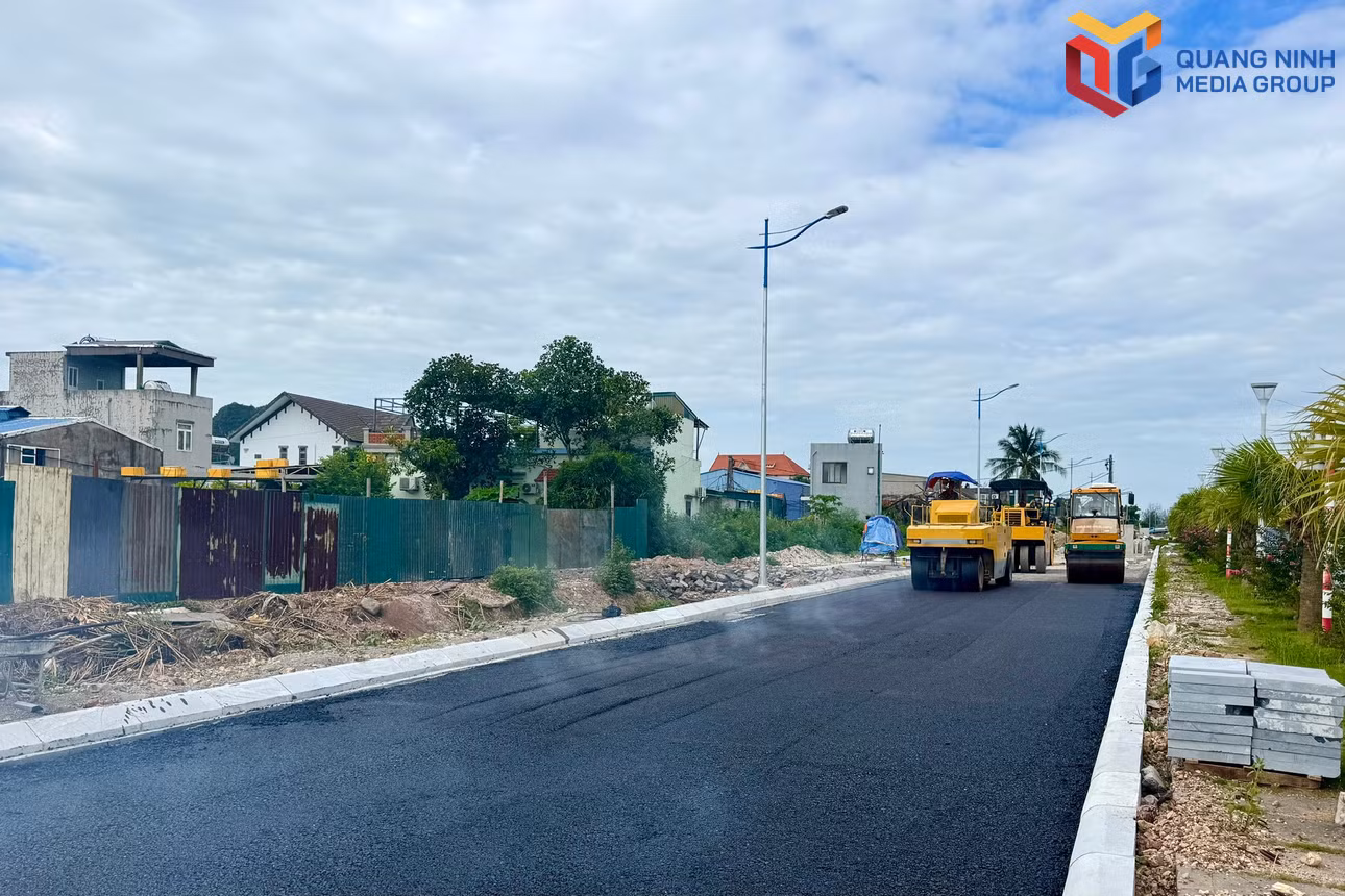 bqn_tr_duong-gom.jpg