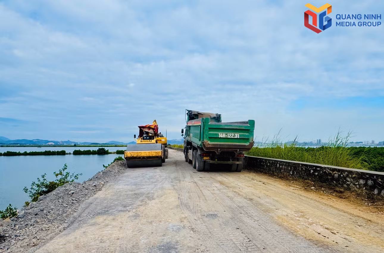 bqn_tr_dau-tu-cong-duong-cong-vu.jpg