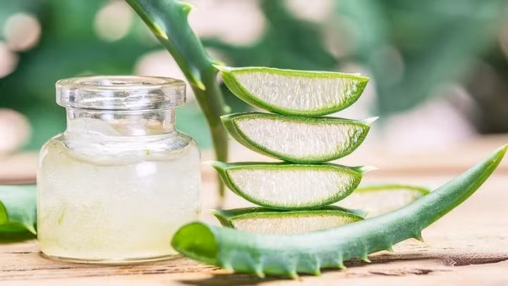 Nước nha đam không chỉ giải nhiệt mà còn rất tốt cho da.