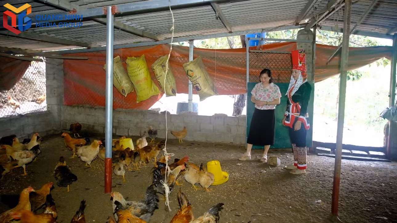 bqn_tl_phu-nu-dan-toc-thieu-so-phat-trien-kinh-te00-08-33-07still007.jpg