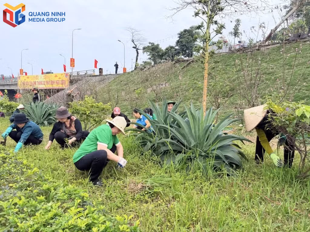 bqn_tl_nguoi-dan-phuong-cua-ong-tich-cuc-tham-gia-ve-sinh-moi-truong-khu-dan-cu.jpg