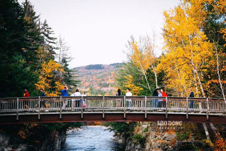 Diện tích vùng New England khá nhỏ cùng hệ thống giao thông thuận tiện với nhiều thành phố lớn giúp du khách dễ dàng lựa chọn các hoạt động du lịch. Bạn có thể dễ dàng đi qua cả 6 bang trong thời gian khoảng một tuần.