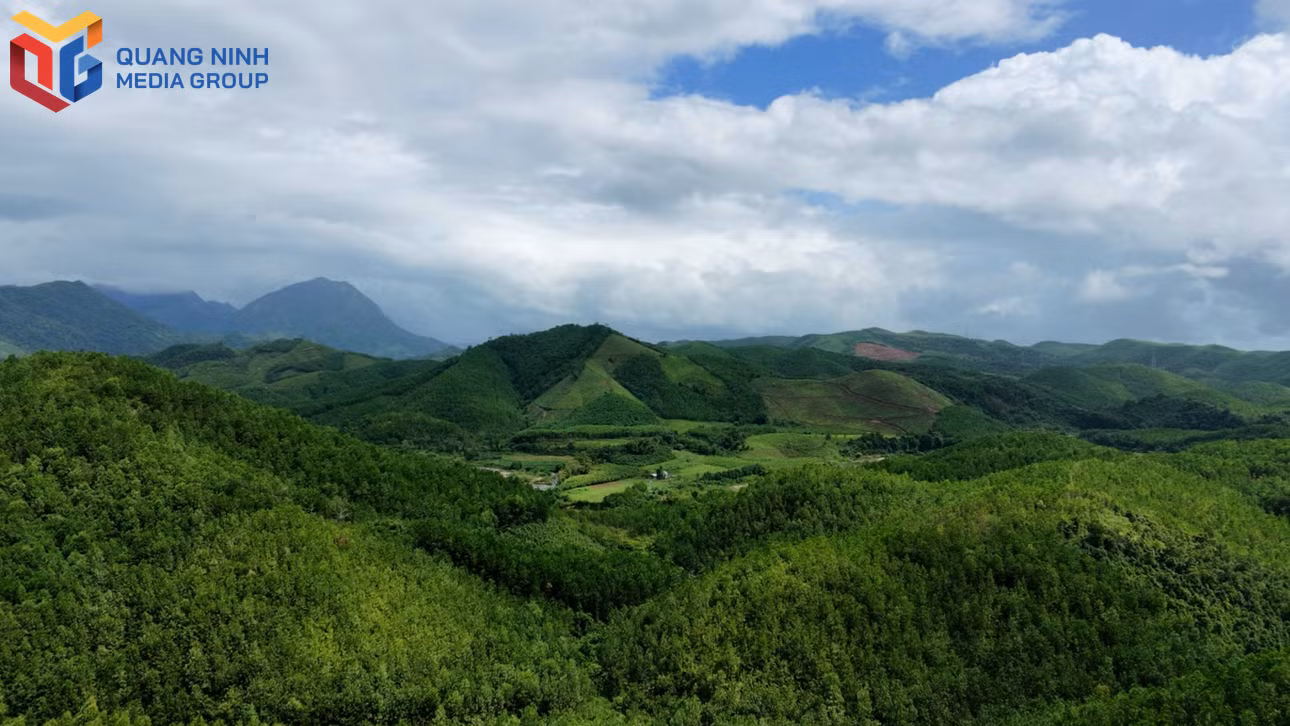 bqn_tl_dji-20261019110857-0428-dmp400-00-00-30still001.jpg