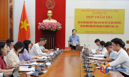 Ban Pháp chế HĐND tỉnh thẩm tra các dự thảo nghị quyết trình Kỳ họp thứ 7 HĐND tỉnh