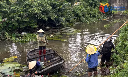 Người dân khu Liên Vị dọn rác dưới dòng kênh.