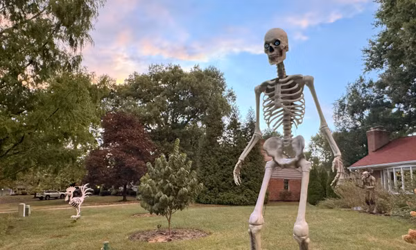 Skelly – bộ xương khổng lồ trở thành biểu tượng Halloween ở Mỹ