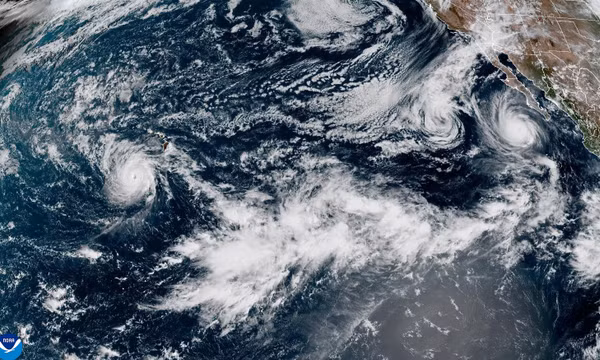 Bão Nolo vẫn đe dọa Hawaii khi Mexico chuẩn bị ứng phó với bão Polo