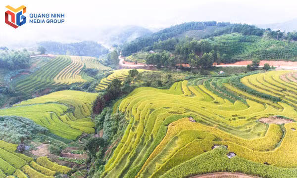 Quyến rũ mùa thu Quảng Ninh