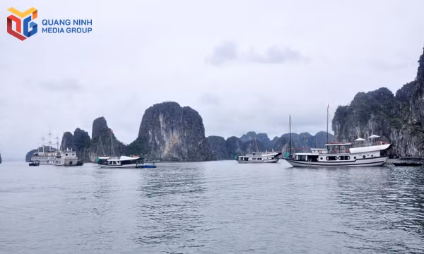 Ngành “công nghiệp không khói” vươn tầm