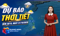 Dự báo thời tiết đêm 30, ngày 31/10/2026 