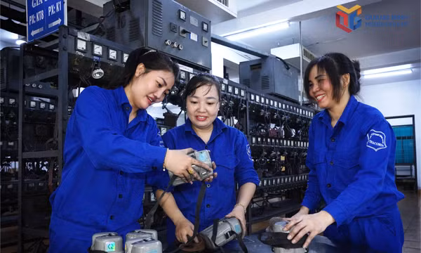 Hậu phương của Than