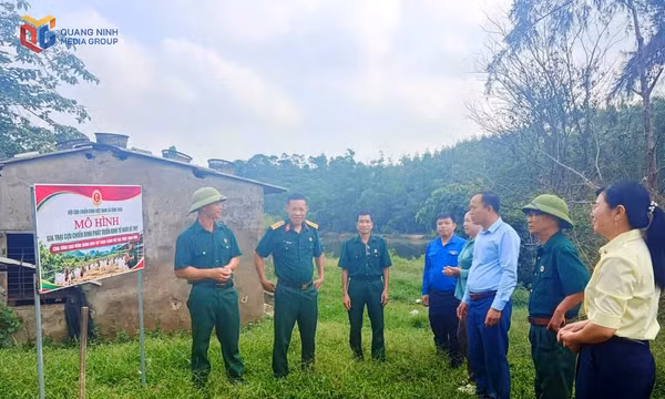 Vĩnh Thực: Ra mắt mô hình “Gia trại CCB phát triển kinh tế nuôi dê lấy thịt”