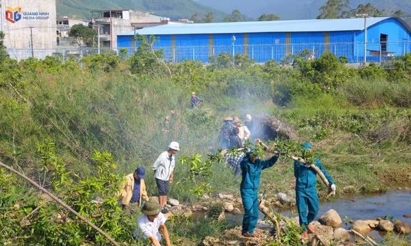 Xã Hoành Mô (Việt Nam) và khu Phòng Thành (Trung Quốc) phối hợp phát quang khu vực sông biên giới 