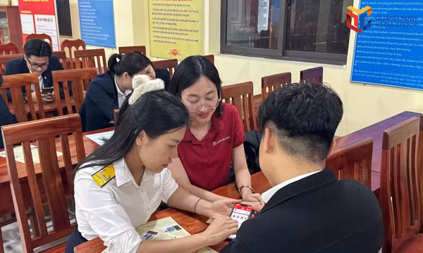Những "nhịp cầu tình nguyện" vì một Quảng Ninh phát triển