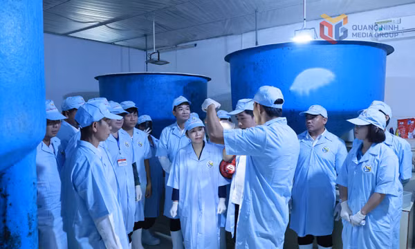 Đoàn đại biểu tỉnh Luông Pha Băng (Lào) thăm và làm việc tại xã Đầm Hà