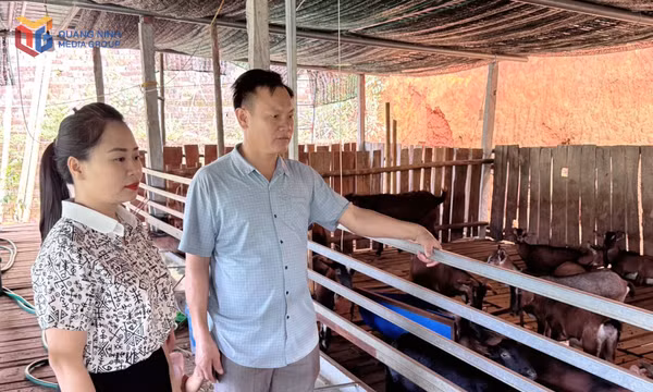 Thanh niên dân tộc Dao làm giàu từ mô hình nuôi dê sinh sản