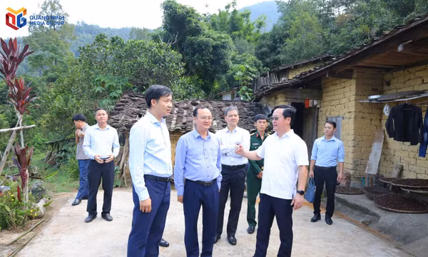 Khảo sát trường học, đường biên và mô hình sản xuất ở Hoành Mô và Lục Hồn