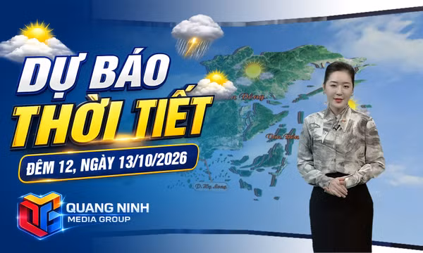 Dự báo thời tiết đêm 12, ngày 13/10/2026